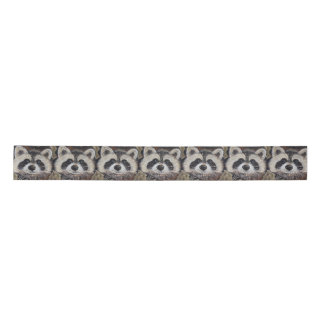 Ruban En Satin Raccoon Painting