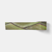 Ruban Palm Traveller