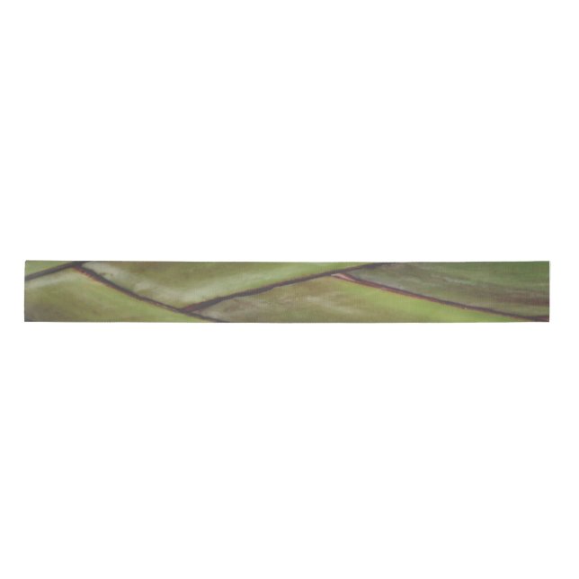 Ruban En Satin Ruban Palm Traveller (Devant)