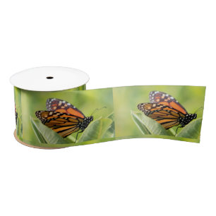 Ruban En Satin Ruban papillon monarque