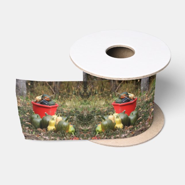 Ruban En Satin Squash Country Garden Harvest (Bobine)