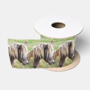 Ruban En Satin Tan Coloré Shetland Pony,