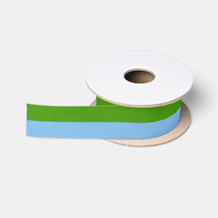 Ruban En Satin Vert printemps et bleu pastel