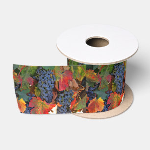 Ruban En Satin Vignoble de belle automne
