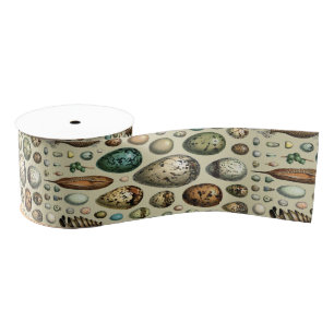 Ruban Gros-grain Adolphe Millot Dark Academia Art Vintage d'Œuf de