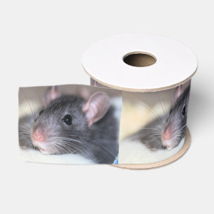 Ruban Gros-grain Adorable