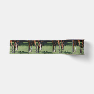 Ruban Gros-grain Cheval quart magnifique