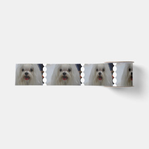 Ruban Gros-grain Chien maltais blanc