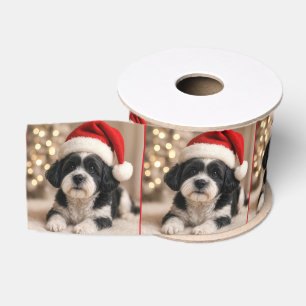 Ruban Gros-grain Chien Shih Tzu de Noël avec chapeau de Père Noël