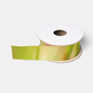 Ruban Gros-grain coloris