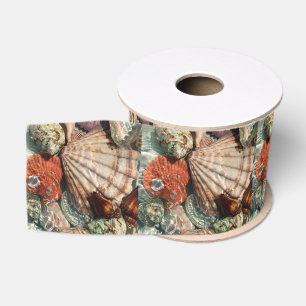 Ruban Gros-grain Coquillages