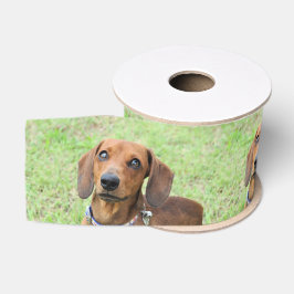 Ruban Gros-grain Dachshund