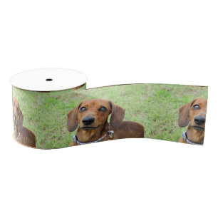 Ruban Gros-grain Dachshund