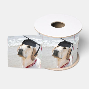 Ruban Gros-grain Diplômé Labrador Retriever avec bonnet