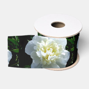 Ruban Gros-grain Elégant blanc peony floral blanc photo