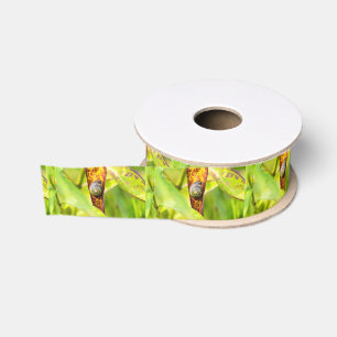 Ruban Gros-grain fixation calme