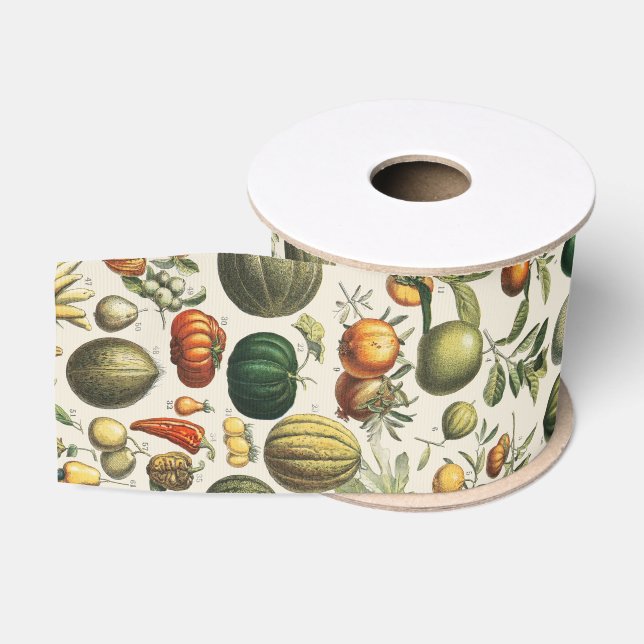 Ruban Gros-grain Fruit Vegetable Botanical Scientific Illustration (Bobine)