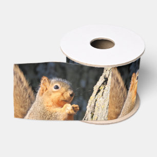 Ruban Gros-grain Fuzzy