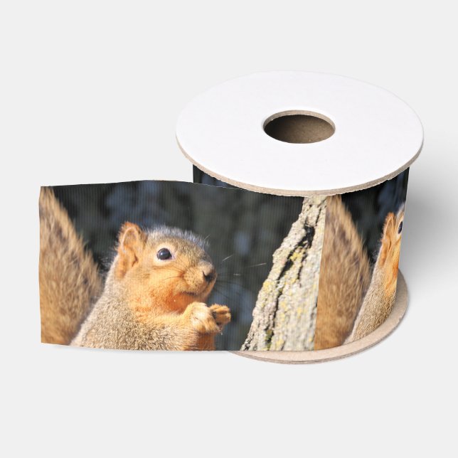 Ruban Gros-grain Fuzzy (Bobine)