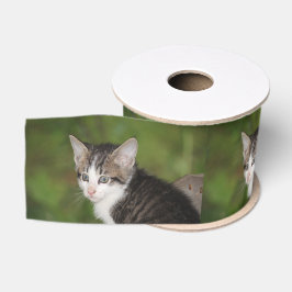 Ruban Gros-grain Kitten