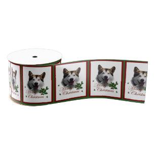 Ruban Gros-grain Malamute d'Alaska Joyeux Noël