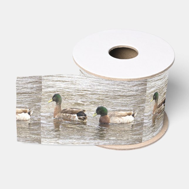 Ruban Gros-grain Mallard Ducks Photo Ribbon (Bobine)