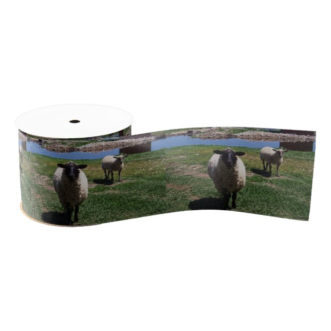 Ruban Gros-grain Moutons curieux (Bobine)