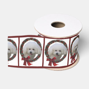 Ruban Gros-grain Noël mignon de Bichon joyeux