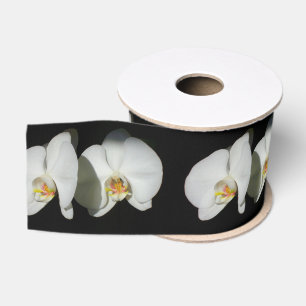Ruban Gros-grain Orchidées blanches élégantes, photo à fleurs tropi