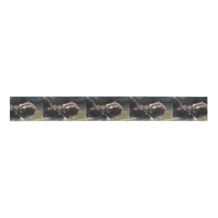 Ruban Gros-grain Ours Brown