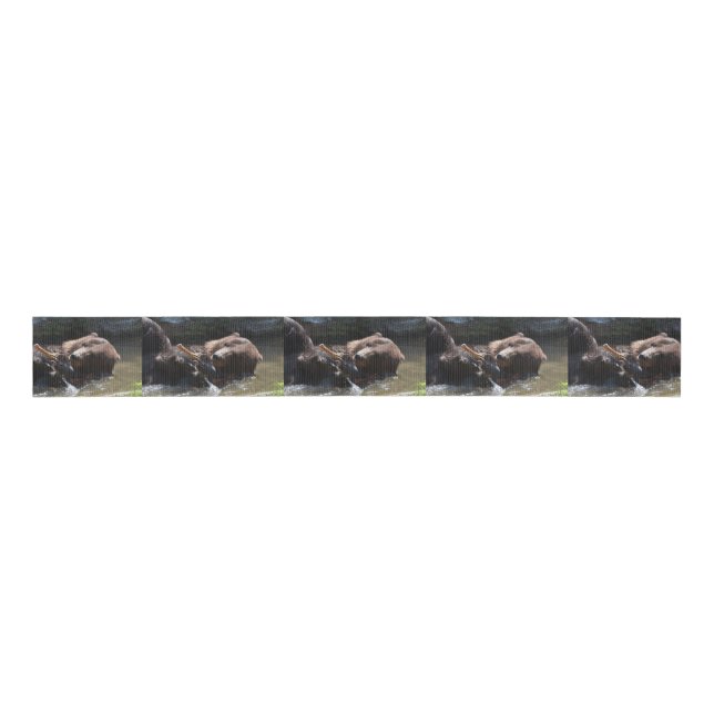 Ruban Gros-grain Ours Brown (Devant)