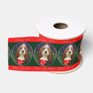 Ruban Gros-grain Petit Basset Griffon Vendeen Noël