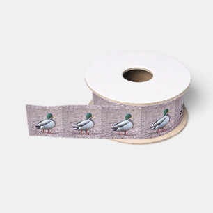 Ruban Gros-grain Photo Mallard Duck