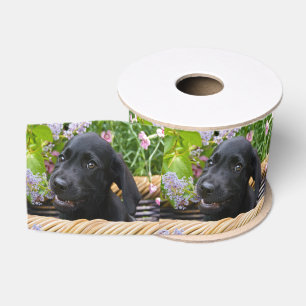 Ruban Gros-grain Photo noire mignonne d'animal familier de chiot de