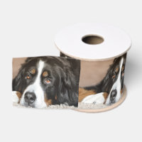 pose de chien de montagne bernese
