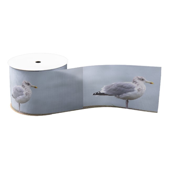 Ruban Gros-grain Seagull Photo Ribbon (Bobine)