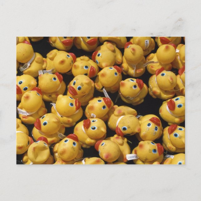 Rubber-Ducky-Rennen - Postkarte (Vorderseite)
