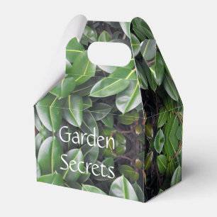 Rubber Tree Leaf Muster Geschenkschachtel