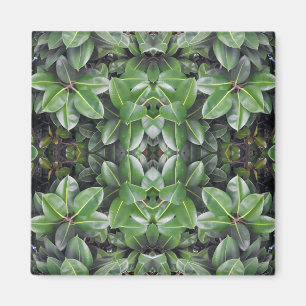 Rubber Tree Leaf Muster Magnet