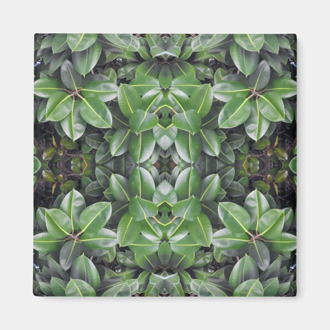 Rubber Tree Leaf Muster Magnet (Vorne)