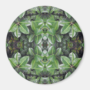 Rubber Tree Leaf Muster Magnet