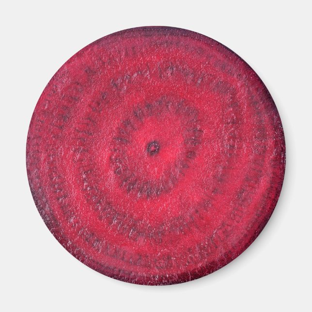 Rüben Magnet (Vorne)