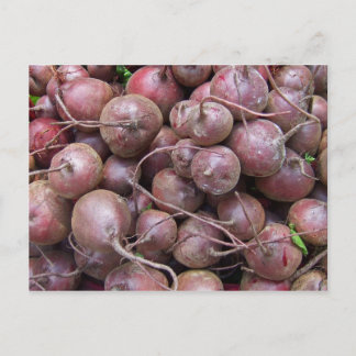 Rüben Postkarte