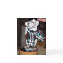 Rubin in ihrer Kilt-Karte