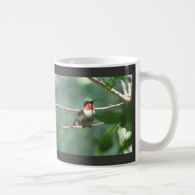 Rubin-Kehle flattert Tasse (Rechts)