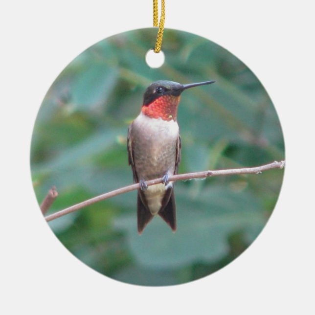 Rubin-Kehle Kolibri Keramikornament (Vorne)