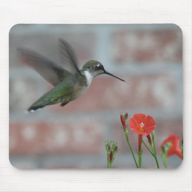 Rubin-Kehle u. Winde Mousepad (Vorne)