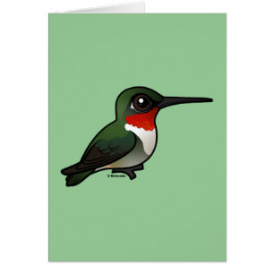 Rubin-throated Kolibri