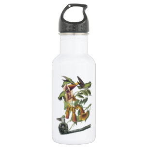 Rubin-throated Kolibri durch Audubon Trinkflasche