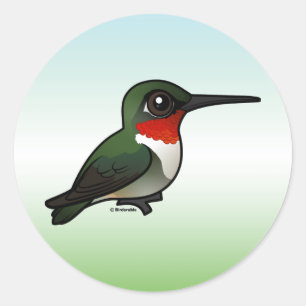 Rubin-throated Kolibri Runder Aufkleber